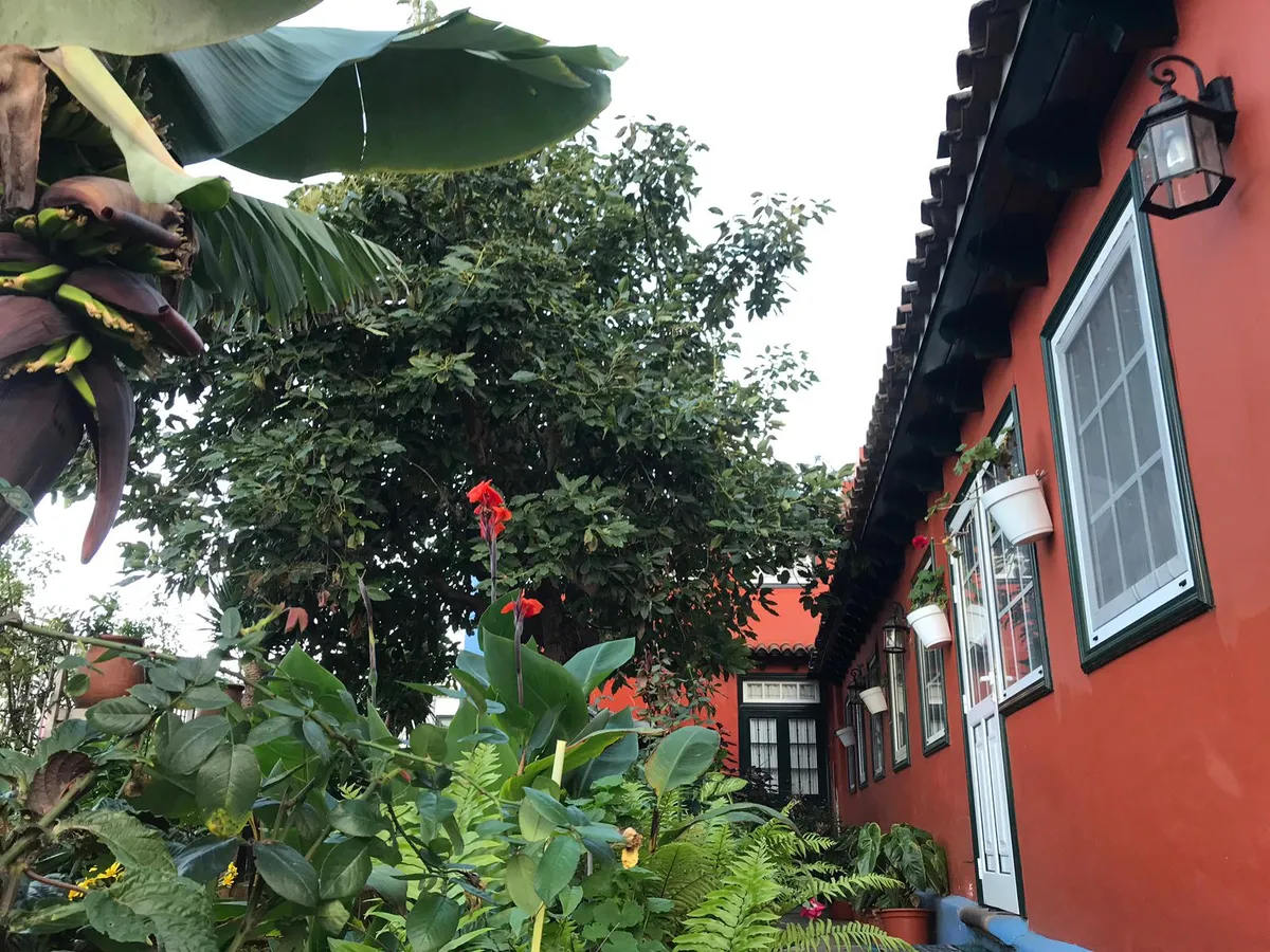 Casa Canaria en Los Realejos - Zona centro - Imagen 1