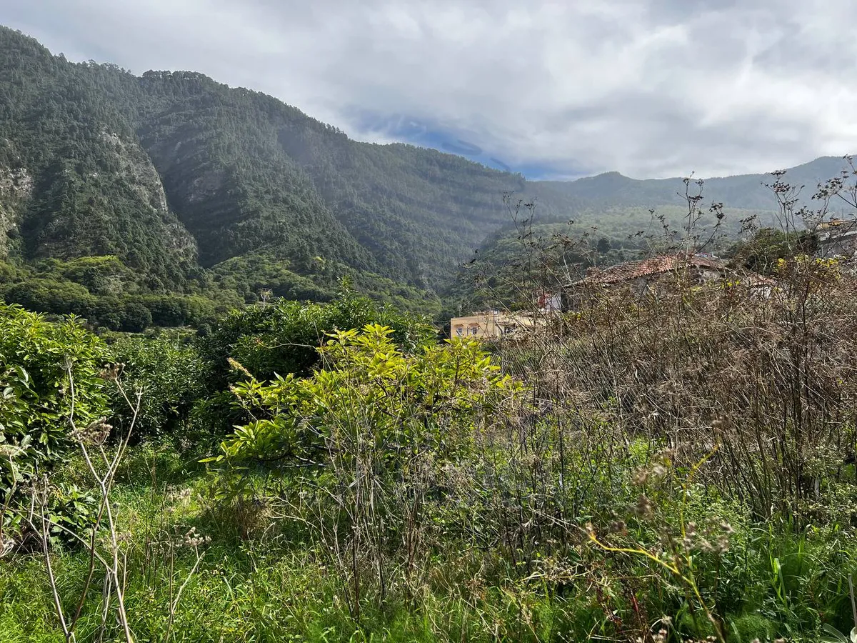 Finca con salón en La Florida - La Orotava - Imagen 1